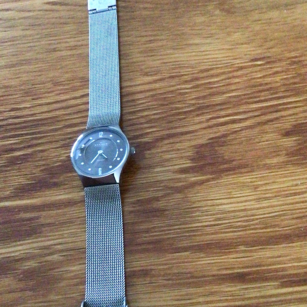 Skagen Silver Mesh Strap Women's Watch